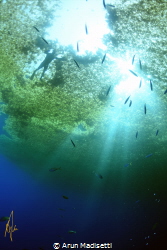far out to sea under the weed by Arun Madisetti 
